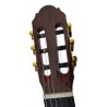 Outlet B16 - Vicente Tatay C320.301F Guitarra Flamenca con PequeñO Defecto en la Tapa - Acabado Ambar con golpeador instalado.