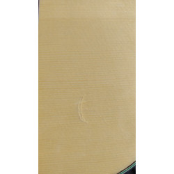 Outlet B19 - Vicente Tatay C320.580 – Guitarra Flamenca con Tapa de Abeto, Cuerpo de Sicomoro, Alma Ajustable y Golpeador con Go