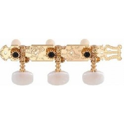 C300.080B Clvijero Clasica Dorado palomilla blanca