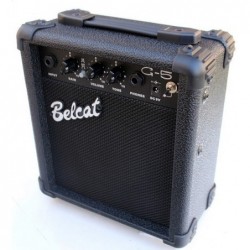 G-5 Amplificador de 5 W para Guitarra Electrica