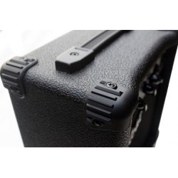 G-10 Amplificador de 10 W para Guitarra Electrica