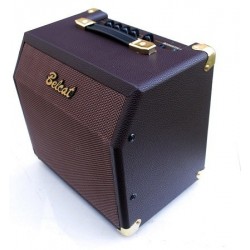 Acoustic 15C Amplificador de 15 W para Guitarra Acustica