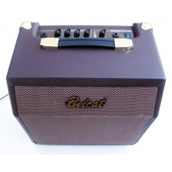 Acoustic 15C Amplificador de 15 W para Guitarra Acustica