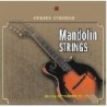 C302.A003 Cuerdas Mandolina