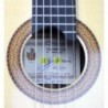 Guitarra Clasica Juan Alvarez Gran Concierto AV-2