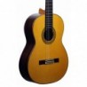 Guitarra Clasica Juan Alvarez Profesional AV-1