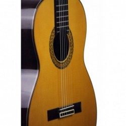 Guitarra Clasica Juan Alvarez Profesional AV-1
