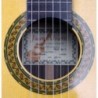 Guitarra Clasica Juan Alvarez Profesional AV-1