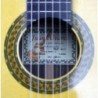 Guitarra Clasica Juan Alvarez Profesional AV-1