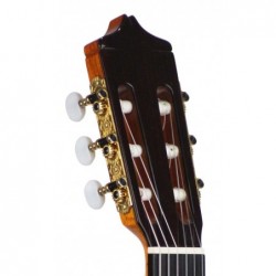 Guitarra Clasica Juan Alvarez Profesional AV-2