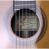 Guitarra Clasica Juan Alvarez Profesional AV-2