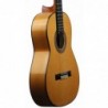 Guitarra Flamenca Juan Alvarez Y-18F