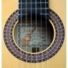 Guitarra Flamenca Juan Alvarez Y-18F