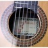 Guitarra Clasica Juan Alvarez Y-16C
