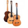 C320.206S Guitarra Clasica Vicente Tatay - Fondo de Palosanto con Tapa Maciza de Abeto (Similar ES-06S y MCG-58S)