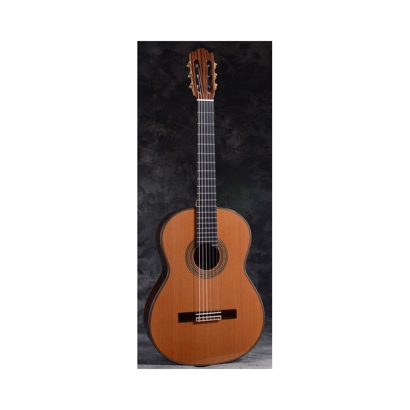 MTZ Clasica ESPAÑA -12C Guitarra maciza 12 C