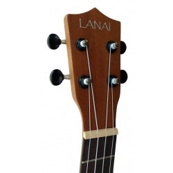 C380.071EQ   Ukelele  Tenor de Sapeli Mate Amplificado