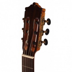 Tatay C320.204EQ   Guitarra Clasica Palosanto Amplificada