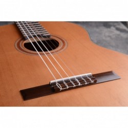 Jose Rincon MODELO  ESPAÑA CADETE TIRO 61 ES-04C 615 Tapa de Cedro acabado satinado