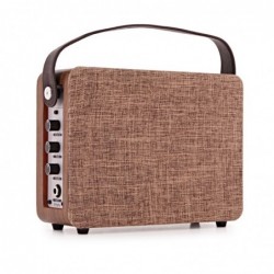 Belcat DINGHY Amplificador de 10 W para Ukelele y Guitarra con Bateria de Litio y Bluetooth