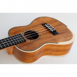 C380.102  Egmond Ukelele Concierto de koa