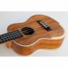 C380.102  Egmond Ukelele Concierto de koa