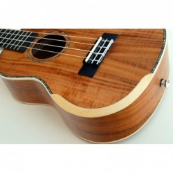 C380.102  Egmond Ukelele Concierto de koa