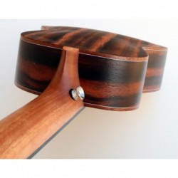 C380.103V Egmond Ukelele Concierto de Palosanto con Tapa Maciza