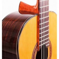 C320.206S CE Guitarra Clasica Vicente Tatay - Fondo Palosanto Tapa Maciza de Abeto - Brillo - Amplificada Fishman PSY-301 y Cut