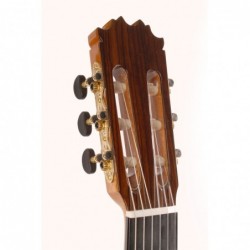 Antonio De Toledo Modelo AT-19S Tapa Maciza de Abeto y Fondo y Aros de Ziricote (Ciricote)