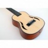 C380.105V Egmond Ukelele Concierto de Caoba con tapa maciza
