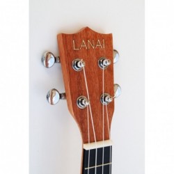 C380.105V Egmond Ukelele Concierto de Caoba con tapa maciza