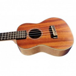 Egmond C380.106V  Ukelele Soprano de Caoba Todo Macizo