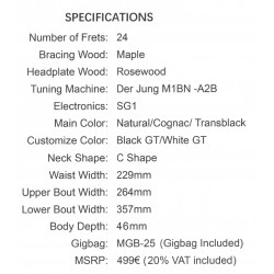 Jose Rincon Hispania Negra Black GT Guitarra Clasica de Escenario