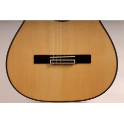Antonio De Toledo AT-270S – Guitarra Clasica Toda Maciza de Palosanto y Tapa Maciza de Abeto