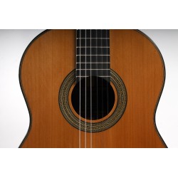 Antonio De Toledo Modelo E15 Abeto CEQ Fishman Con Cutaway AT-15SE Cut