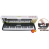 Teclado Isaki TC-619 de 61 Teclas con Cargador y Microfono
