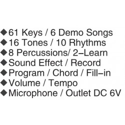 Teclado Isaki TC-616 de 61 Teclas con Cargador y Microfono