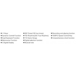 Teclado Isaki TC-612 de 61 Teclas Sensibles (128 polyphony y MIDI) Con Cargador y Pedal