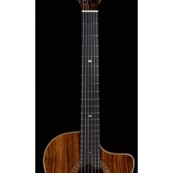 Jose Rincon CROSSOVER DE ESCENARIO MODELO ESPAÑA MP-14OV