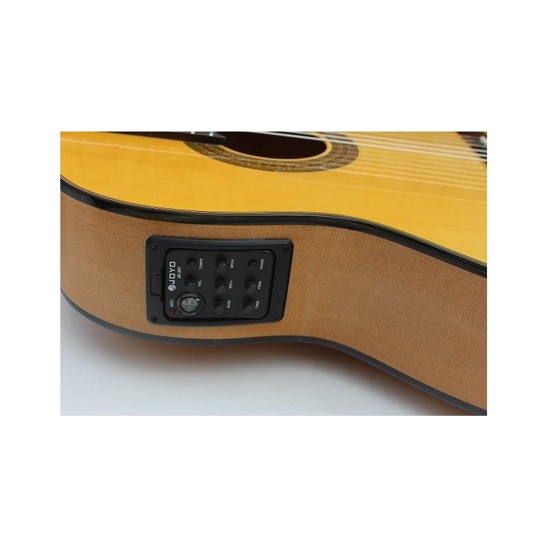 C320.580CE V Guitarra Flamenca Jose Rincon - Fondo de Sicomoro con Tapa de Abeto - Cenefa Verde - Amplificada con Cutaway