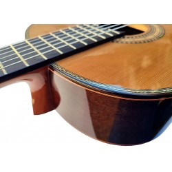 Antonio De Toledo Modelo 240 AT-240C Guitarra Clasica Toda Maciza con Tapa de Cedro