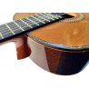 Antonio De Toledo Modelo 240 AT-240C Guitarra Clasica Toda Maciza con Tapa de Cedro