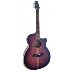 Egmond Guitarra Acustica de ZURDO Toda Maciza GA99S CE