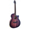 Egmond Guitarra Acustica de ZURDO Toda Maciza GA99S CE