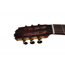 C320.A6 - 3/4 Guitarra Clasica CADETE 580mm Vicente Tatay Reedicion T111 por el 125 Aniversario - Tapa Maciza de Cedro - Brillo