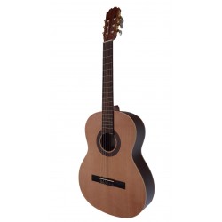 C320.A3 Guitarra Clasica Vicente Tatay Reedicion Aniversario T106 - Tapa de Abeto - Acabado Brillo