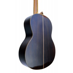 C320.207S Guitarra Clasica Vicente Tatay - Fondo de Palosanto con Tapa Maciza de Abeto - Acabado Brillo