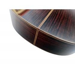 C320.207S Guitarra Clasica Vicente Tatay - Fondo de Palosanto con Tapa Maciza de Abeto - Acabado Brillo