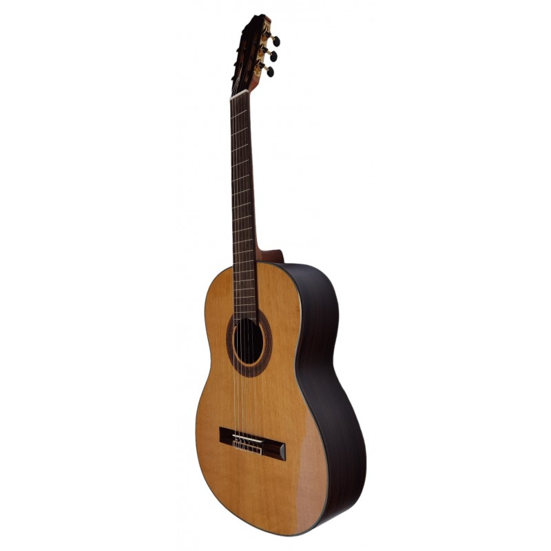 C320.206C Guitarra Clasica Vicente Tatay - Fondo de Palosanto con Tapa Maciza de Cedro